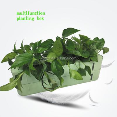 China Home Modern Indoor Plastic Soilless Eco-Friendly Box Balcony Multifunctional Planter Pot for sale