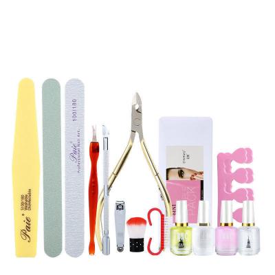 China Professional Salon Profession Women Gel Set UV Nail Kit Beauty Manicure Nail Art Set Professional UV for sale