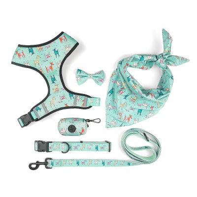 China Fashion Reflective Wholesale Custom Nylon Adjustable Webbing Bungee Pattern Printed Dog Leash for sale