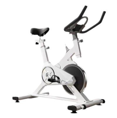 China Silent Household Dynamic Bicycles Aerobic Equipment Stepless Resistance Adjustment for sale