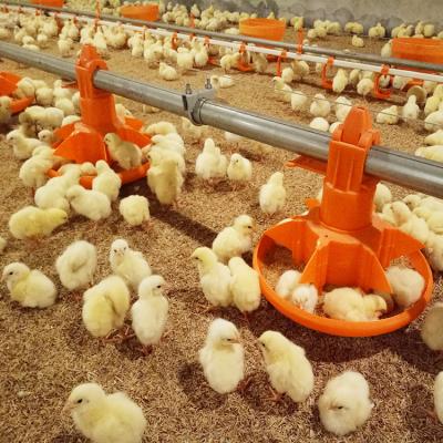 China Commercial Freestanding Modern Farm Floor Broiler Animal Barn Broiler Chicken Farming Equipment &poultry Equipment for sale