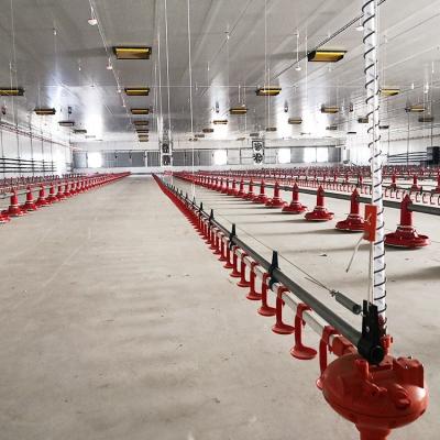 China Automatic Farms Chicken Barn Floor Poultry Farming Equipment For Broilers for sale