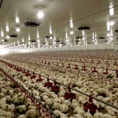 China Aerated Farms Poultry Farm Tunnel Used Chicken Poultry End House Equipment for sale