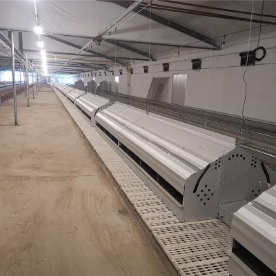 China Cultivate Egg Frame Style Laying Nest In Breeder House Poultry Farm Equipment Chicken Layer for sale