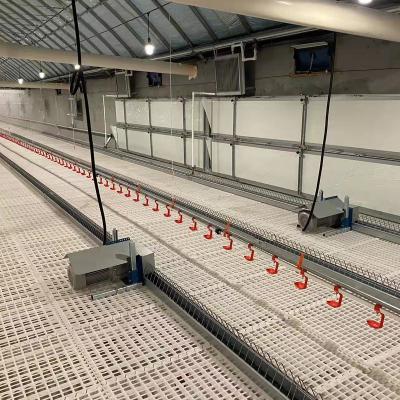 China Quick Cooling Without Moisture Chicken Nipple Drinkers Chicken Nipple Drinking Line 8.Automatic Chicken Nipple Drinking Line For Broiler And Breeder for sale