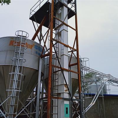 China Farms silo in poultry feed poultry farm chicken house for sale