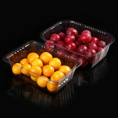 China Rectangle Buckle Transparent Clear Plastic Fruit Container Pet Food Blister Packaging Trays Customization Acceptable Pressure-Resistant for sale