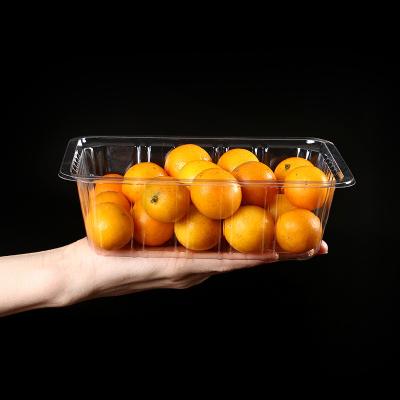 China Pressure-Resistant Disposable Buckle Serving Fruit Container Pet Food Blister Transparent Clear Plastic Packaging Trays for sale