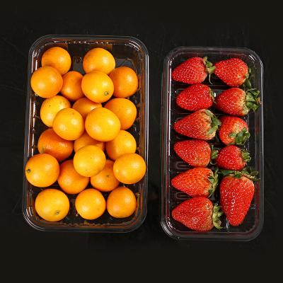 China Pressure-Resistant Loop Storage Plastic Disposable Serving Fruit Container With Lid Food Blister Packing Box Trays for sale