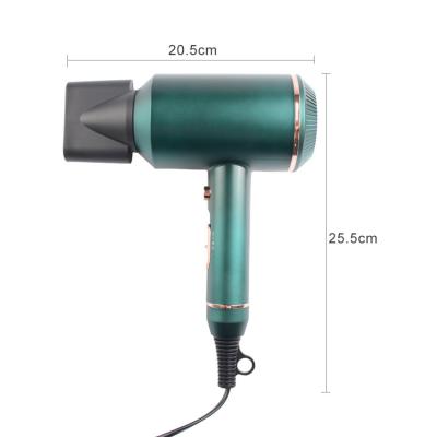 China Private Label Professional Manufacturer Best Hair Dryer 1600W DC Ion Motor Electric Hair Dryer For Men for sale