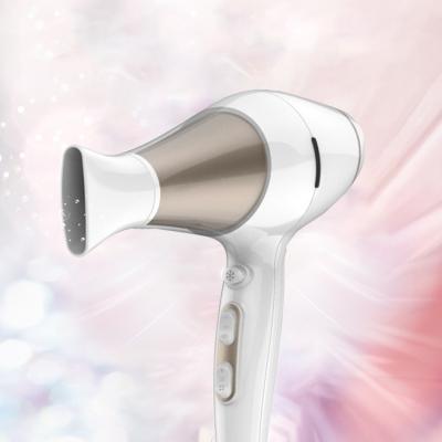 China Professional Salon Best Ionic Hair Dryer Maker 2000W AC Motor Ionic Hair Dryer for sale