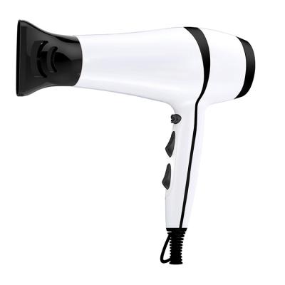 China 2022 Beauty Portable Hair Styler 2000W 2200W Travel Home DC Motor Quick Dry 2022 Hair Dryer for sale