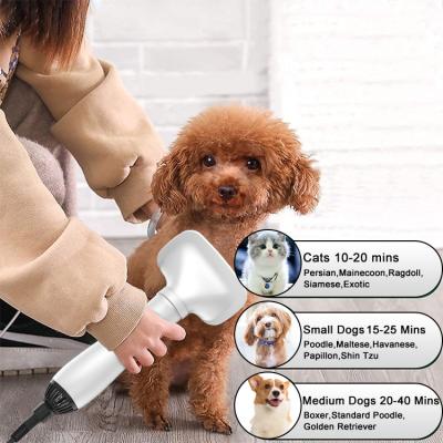 China New Amazon Design Sustainable Pet Brush Dryer 2 in 1 Dog &cat Grooming Brush Pet Hair Brush Dryer for sale