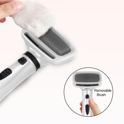 China Viable 2-in-1 Cat Pet Dryer Brush Pet Grooming Dog Hair Dryer Dryer for sale