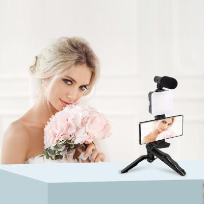 China Mini Oem Smartphone Mobile Video Live Kit Vlog Selfie With Mic and Lightweight Vlogging Kit for sale