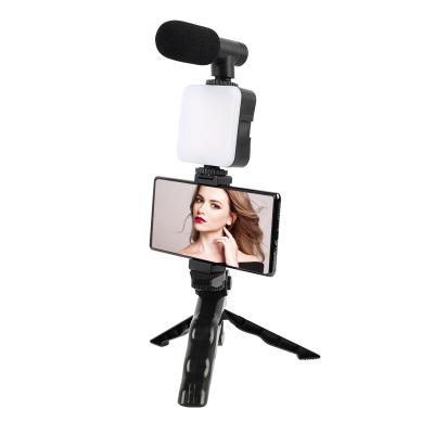 China Portable Flexible AY49 Vlogging Mini Ripoint Kit with Filling Light for Studio Shooting Photography Visual Makeup for sale