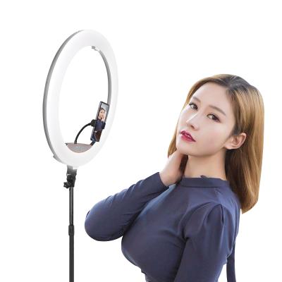 China Ripoint PORTABLE 22 Inch Professional Led Fill Circle Selfie Light with Phone Holder Photography Studio Ring Light for sale