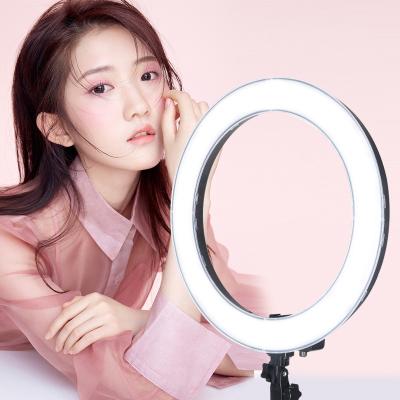 China Ripoint LED Light Dimmable Selfie Light PORTABLE Photographic Filling Ring Light for sale