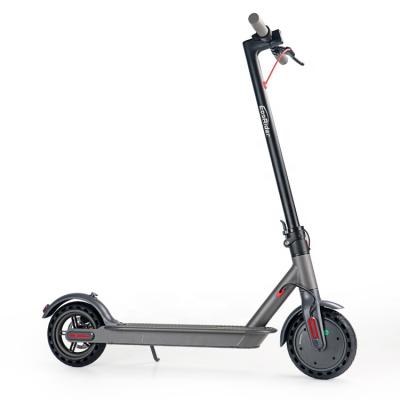 China Eastinear 36v 350w 8.5Inch OEM ODM Unisex High Speed ​​Lithium Battery 2 Wheels Dual Motor Off Road Max Load 150kg Electric Scooter for sale