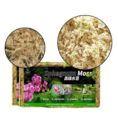 China Viable Wholesale OEM Custom Compressed Tortoise Winter Equipment Set Supplies Cool Climbing Moss Muschio Sphagnum Moss Moss Musgo Moss for sale