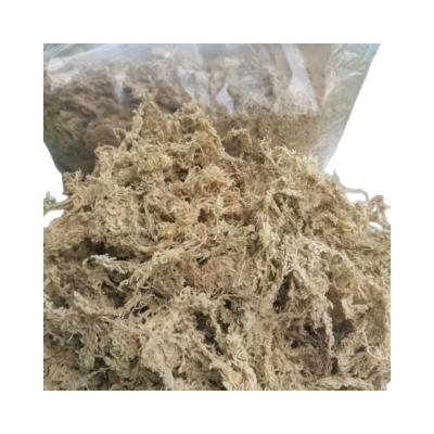 China Long Viable Wholesale Custom Dry Fiber Sphagnum Moss Garden Supplies Lichen Dried Green Preserved Custom Peat Muschio Mos for sale