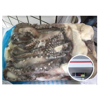 China Nutritious Cheap Price Skin On Tentecle Squid For Africa Market Frozen Squid Tentacle for sale