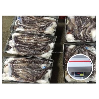 China NATURE wholesale skin on squid tentacle for Asia market frozen squid tentacle for sale