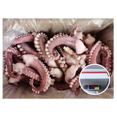 China Giant Squid Glaze Tentacle 30% Frozen Tentacle High Nutritional Quality for sale