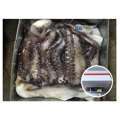 China Good quality squid tentacle nutritious clean skin on frozen squid tentacle for sale