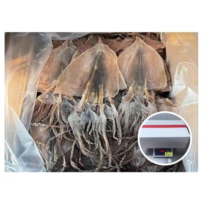 China New Best Selling Pacific Nutrient Processing Dried Squid for sale