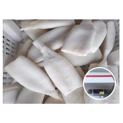 China Eu Nutrient Standard Frozen Squid Tube Iqf Specification U3U5U7 Giant Squid Tube for sale