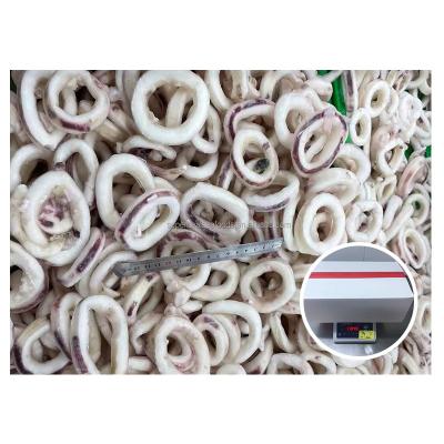 China Healsea Seafood Squid Ring Skin On Specification 3-8cm Nutritious Frozen Frozen Ring for sale