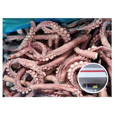 China IQF Nutritious High Quality Fresh Frozen Squid Tentacles For Thailand Market for sale