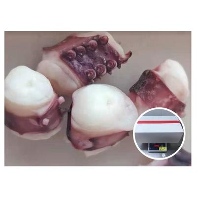 China Best Wholesale Nutritious IQF Frozen Cut Out Giant Squid Tentacles for sale