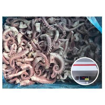 China Nutritious Wholesale High Quality Fresh Frozen Small Squid Tentacles for sale