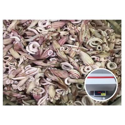 China New Iqf 40% Wing Flower Nutritious Glaze Frozen Indian Squid Landing for sale