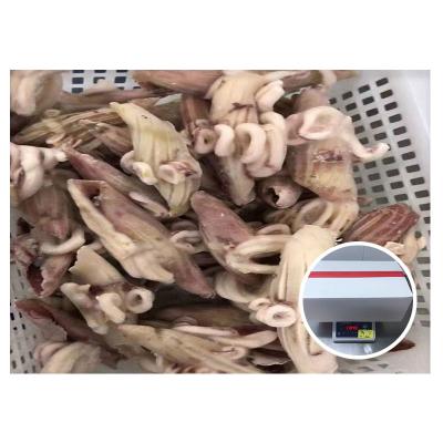 China Iqf Wing Flower Nutritious Glaze Frozen Squid 40% Wholesale Price for sale