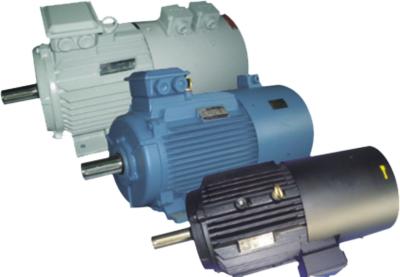 China 45kw Textile Motors , Three-phase Synchronous Motors CE IP54 for sale