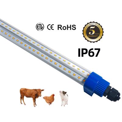 China Waterproof Led T10 18W 24W LED 12VDC Poultry Cage Lamp IP67 Poultry Light Chicken Lamp Dimmable Light for sale