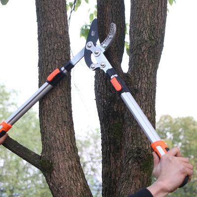 China Long Eu Length Dropshipping Heavy Duty Aluminum Extendable Branch Cutter Anvil Loppers For Garden Park for sale