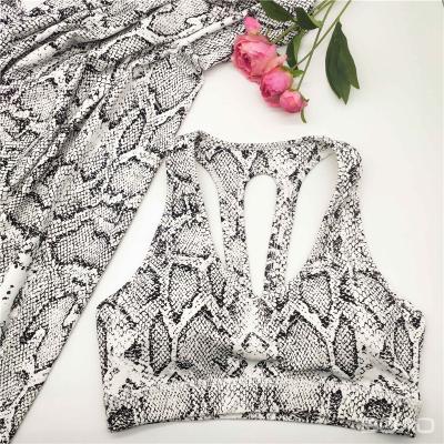 China Double Faced High Quality And High Elastic Nylon Spandex 62 4 Side High Elastic 38 Double Knitted Snake Print Yoga Fabric for sale