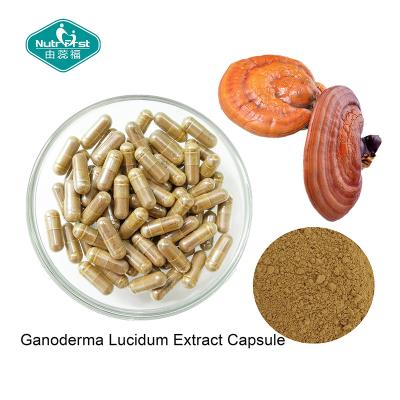 China Ganoderma Lucidum Reishi Mushroom Capsules with Vegetarian Capsule for Healthy Heart for sale