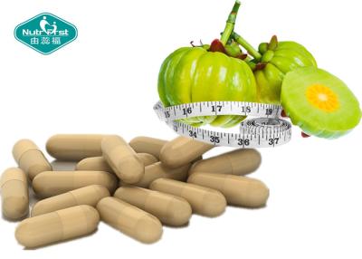 China Garcinia Cambogia Extract Capsule for Weight Management Reduce Body Fat Improve Life Quality for sale