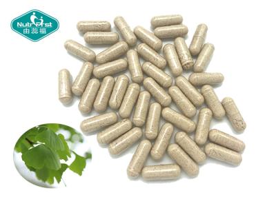 China Ginkgo Biloba 120mg Capsule for Supporting Healthy Brain Function & Circulation for sale