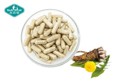 China Dandelion Root Extract Capsules Supports the Liver and Gallbladder for sale