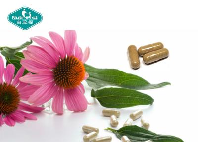 China Echinacea Extract Echinacea Purpurea Extract Boosts Immune System for sale