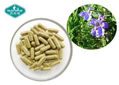 China Rosemary Leaves Capsules Herbal Supplements for Reducing Anxiety Elevating Mood for sale