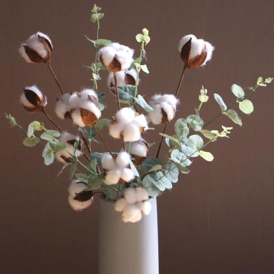 China Wholesale Cotton Artificial Flower Bunches  4 Cotton Dry Flowers Natural Cotton With Stem White Flowers for sale