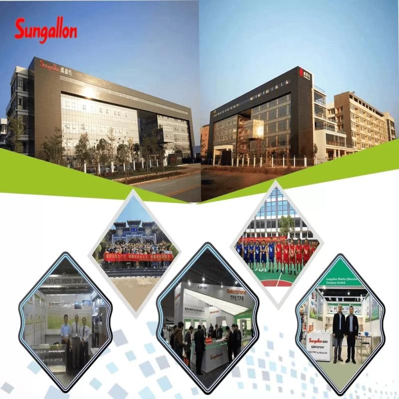 Fornitore cinese verificato - sungallon plastic (heyuan) company limited