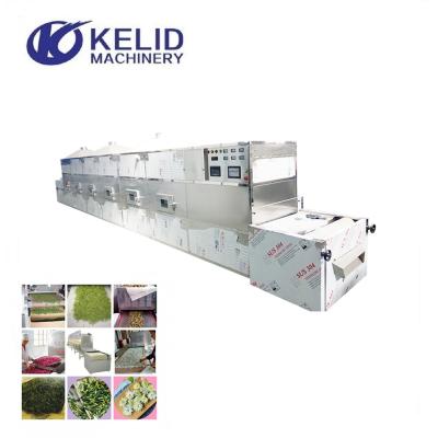 China Medicine Processing Industrial Conveyor Belt Type Microwave Dryer Microwave Drying Machine For Herbs Leaves Tea for sale